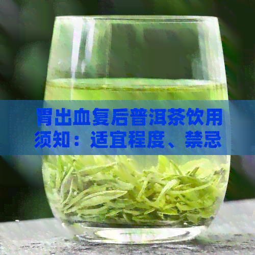 胃出血复后普洱茶饮用须知：适宜程度、禁忌及注意事项