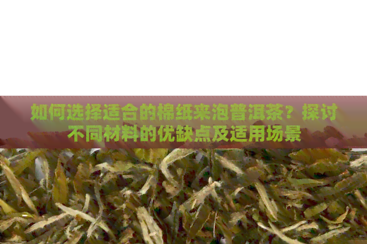 如何选择适合的棉纸来泡普洱茶？探讨不同材料的优缺点及适用场景