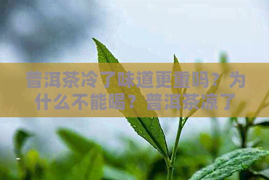 普洱茶冷了味道更重吗？为什么不能喝？普洱茶凉了为什么有苦涩感？