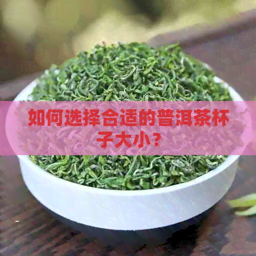 如何选择合适的普洱茶杯子大小？