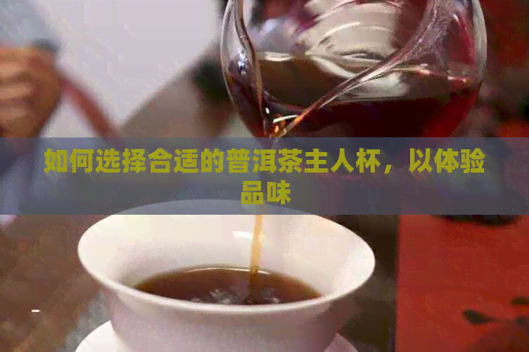 如何选择合适的普洱茶主人杯，以体验品味