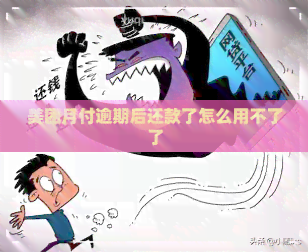 美团月付逾期后还款了怎么用不了了