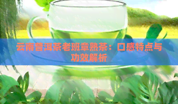 云南普洱茶老班章熟茶：口感特点与功效解析