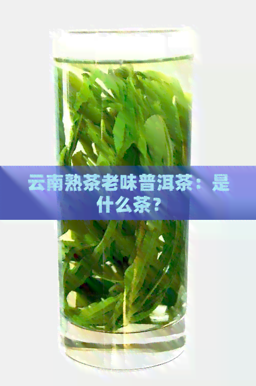 云南熟茶老味普洱茶：是什么茶？