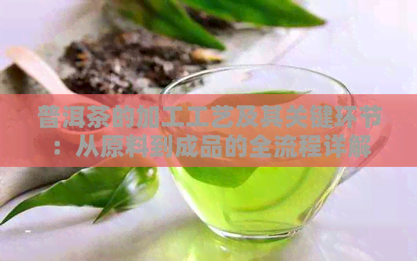 普洱茶的加工工艺及其关键环节：从原料到成品的全流程详解