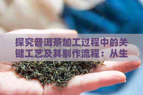 探究普洱茶加工过程中的关键工艺及其制作流程：从生茶到熟茶的完整工序解析