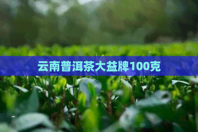 云南普洱茶大益牌100克