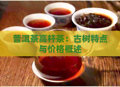 普洱茶高杆茶：古树特点与价格概述