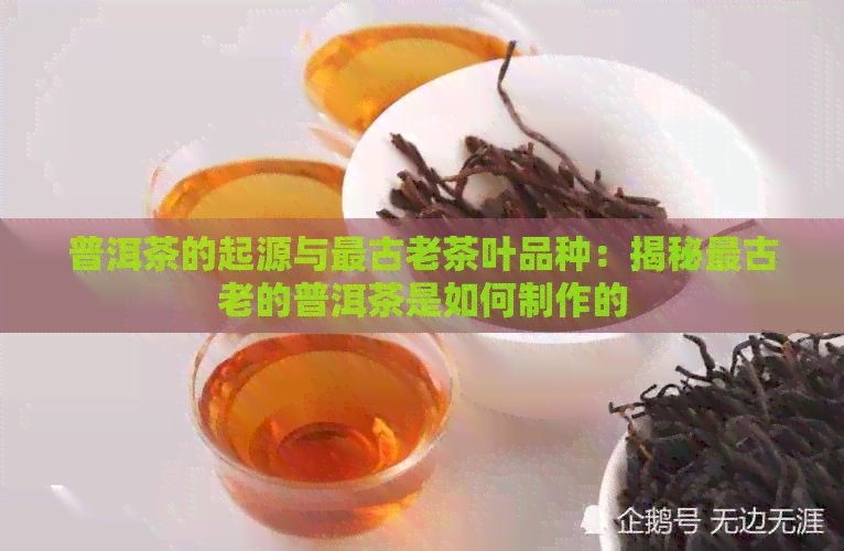 普洱茶的起源与最古老茶叶品种：揭秘最古老的普洱茶是如何制作的