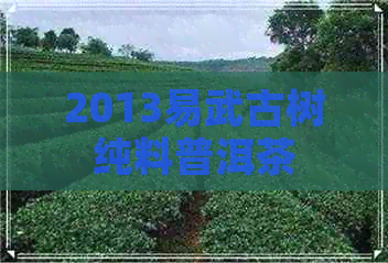 2013易武古树纯料普洱茶