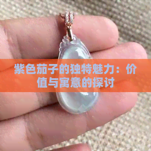 紫色茄子的独特魅力：价值与寓意的探讨