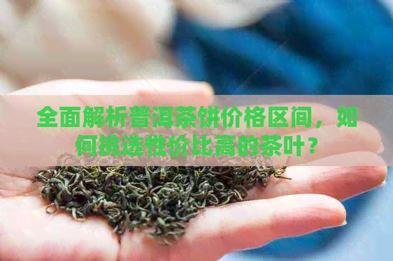 全面解析普洱茶饼价格区间，如何挑选性价比高的茶叶？