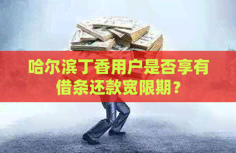 哈尔滨丁香用户是否享有借条还款宽限期？