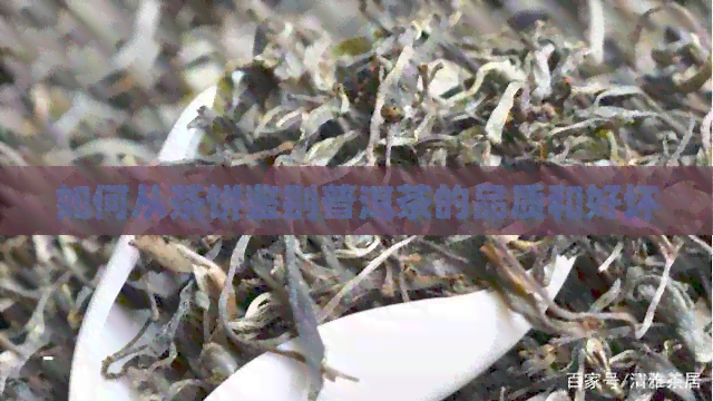 如何从茶饼鉴别普洱茶的品质和好坏