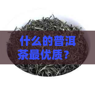 什么的普洱茶更优质？ 什么的普洱茶性价比高且值得收藏？