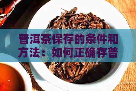 普洱茶保存的条件和方法：如何正确存普洱茶以保持其品质？