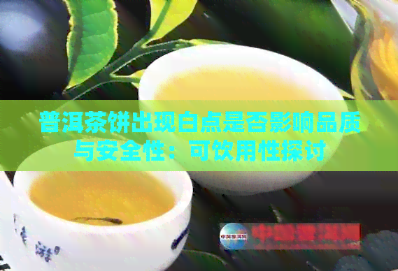 普洱茶饼出现白点是否影响品质与安全性：可饮用性探讨