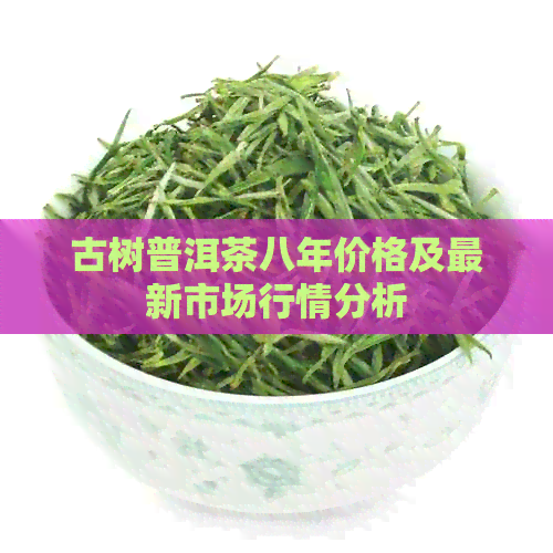 古树普洱茶八年价格及最新市场行情分析