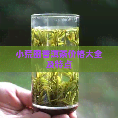 小荒田普洱茶价格大全及特点