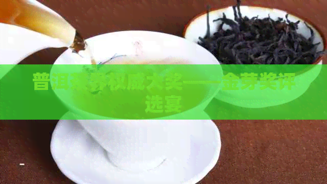 普洱茶界权威大奖——金芽奖评选宴