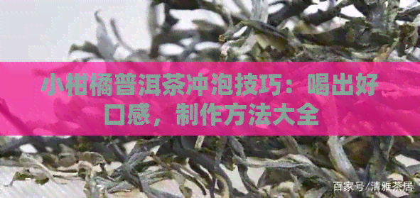 小柑橘普洱茶冲泡技巧：喝出好口感，制作方法大全