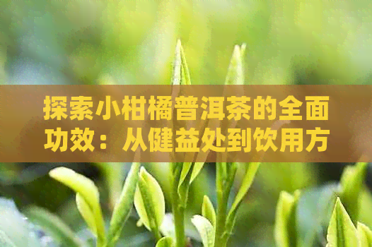 探索小柑橘普洱茶的全面功效：从健益处到饮用方法一应俱全