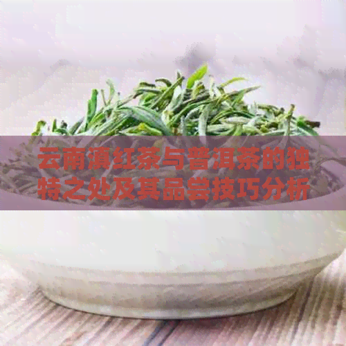 云南滇红茶与普洱茶的独特之处及其品尝技巧分析