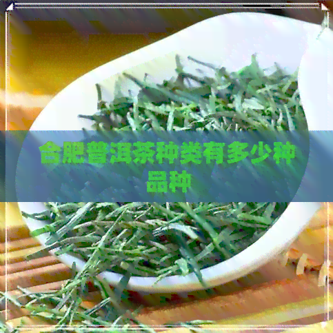 合肥普洱茶种类有多少种品种