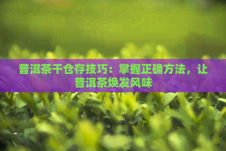 普洱茶干仓存技巧：掌握正确方法，让普洱茶焕发风味