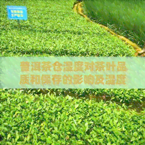 普洱茶仓湿度对茶叶品质和保存的影响及湿度控制方法解析