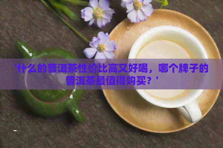 '什么的普洱茶性价比高又好喝，哪个牌子的普洱茶最值得购买？'