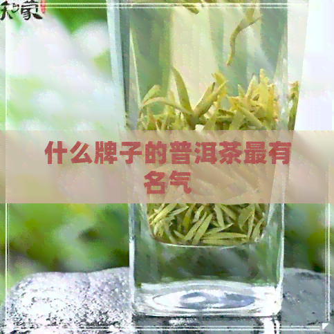 什么牌子的普洱茶最有名气