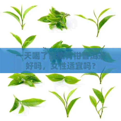 一天喝了四瓶青柑普洱茶好吗，女性适宜吗？