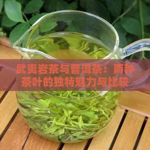 武夷岩茶与普洱茶：两种茶叶的独特魅力与比较