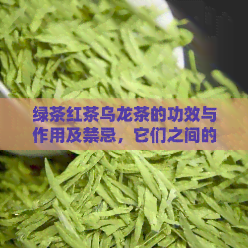 绿茶红茶乌龙茶的功效与作用及禁忌，它们之间的区别和共同点是什么？