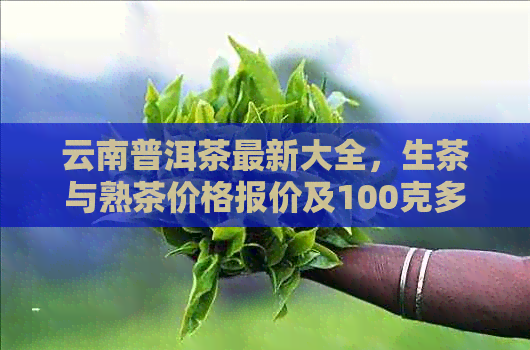 云南普洱茶最新大全，生茶与熟茶价格报价及100克多少钱