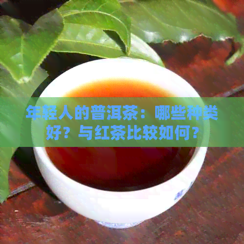 年轻人的普洱茶：哪些种类好？与红茶比较如何？