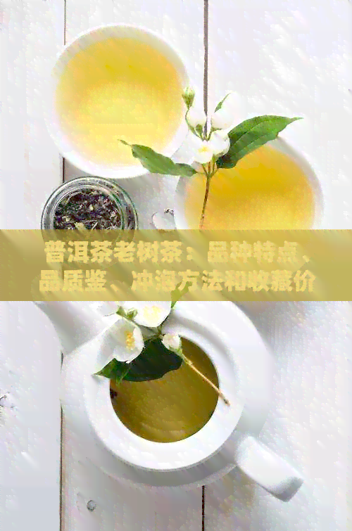 普洱茶老树茶：品种特点、品质鉴、冲泡方法和收藏价值全方位解析