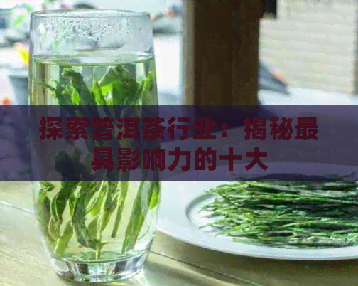 探索普洱茶行业：揭秘更具影响力的十大