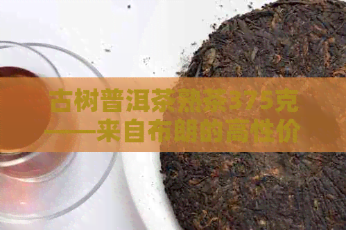 古树普洱茶熟茶375克——来自布朗的高性价比茶叶购买指南