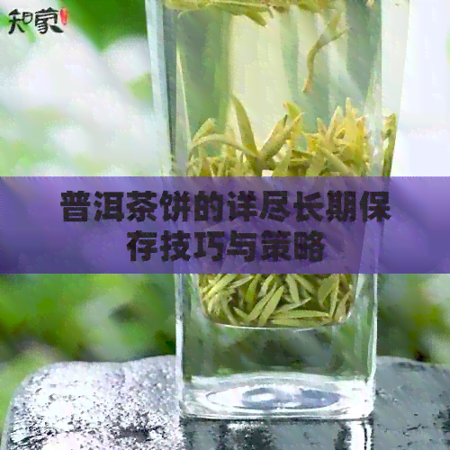 普洱茶饼的详尽长期保存技巧与策略