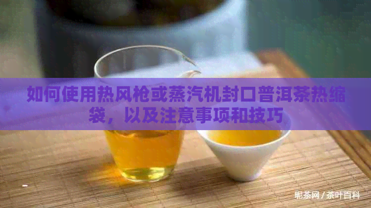 如何使用热风枪或蒸汽机封口普洱茶热缩袋，以及注意事项和技巧