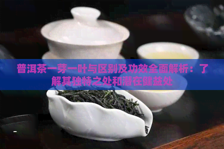 普洱茶一芽一叶与区别及功效全面解析：了解其独特之处和潜在健益处