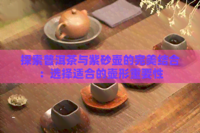 探索普洱茶与紫砂壶的完美结合：选择适合的壶形重要性