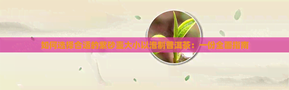 如何选择合适的紫砂壶大小以泡制普洱茶：一份全面指南