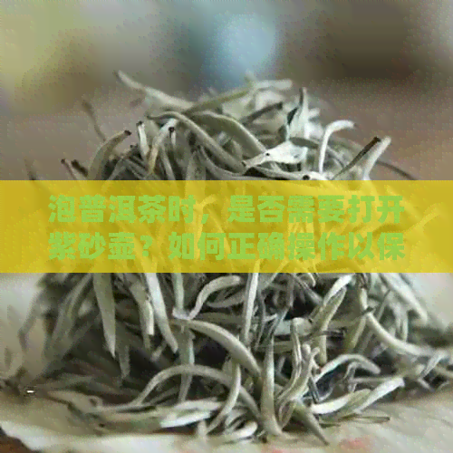 泡普洱茶时，是否需要打开紫砂壶？如何正确操作以保持茶叶品质和口感？