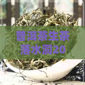 普洱茶生茶落水洞200g