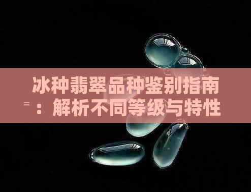 冰种翡翠品种鉴别指南：解析不同等级与特性