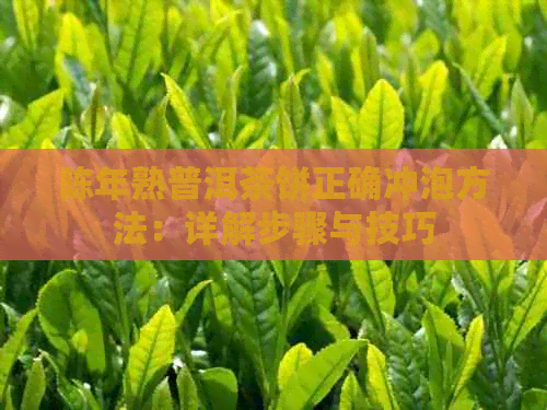 陈年熟普洱茶饼正确冲泡方法：详解步骤与技巧