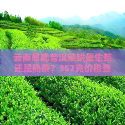 云南易武普洱茶饼是生茶还是熟茶？357克价格查询